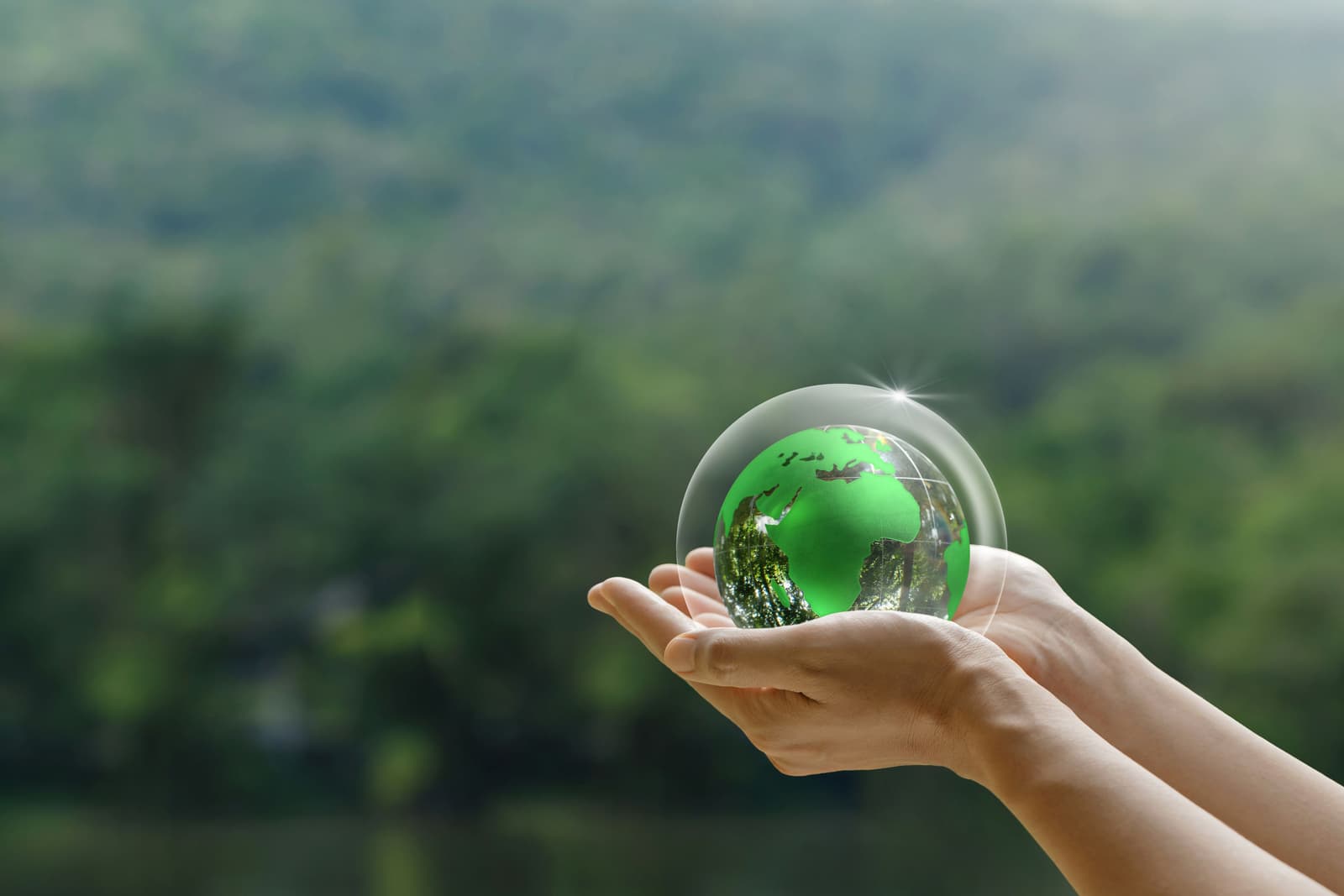 Small Swaps, Real Savings: A Renter’s Earth Day Playbook