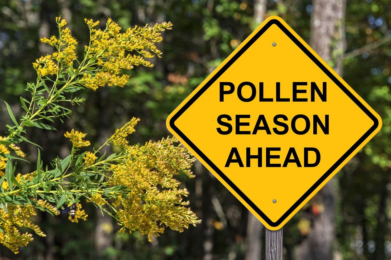 Your Simple Guide to Pollen Season, Seasonal Shifts, and a Fresher Home